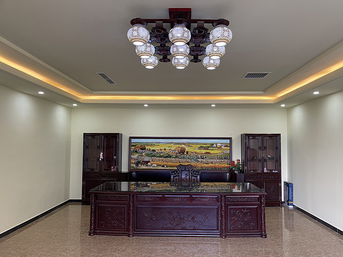 Beijing Snail Medical Co., Ltd.