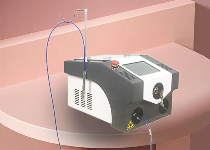 Longueur d'onde à C.A. 220V/110V 50HZ/60HZ 5A/10A 980nm de traitement de laser du nanomètre KTP de l'ABS 532