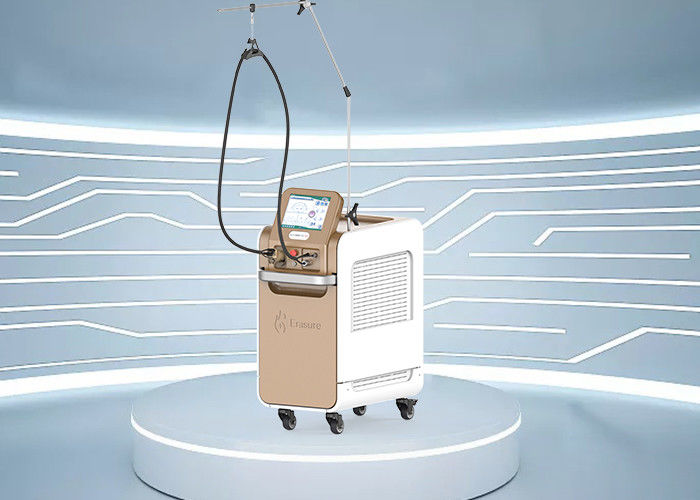 C.A. portatif de la machine 220V d'épilation de laser de l'Alexandrite 755nm avec pp DI Filter