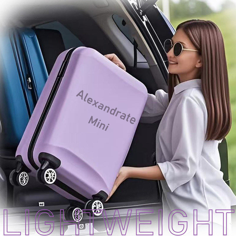 Équipement de beauté portable Alexandrite Mini Smart Touch Alimentation Partie Bison Light And Easy 755nm Mini Machine Alexandrite Épilation laser 755nm